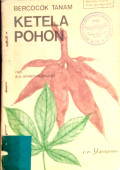 Bercocok Tanam Ketela Pohon